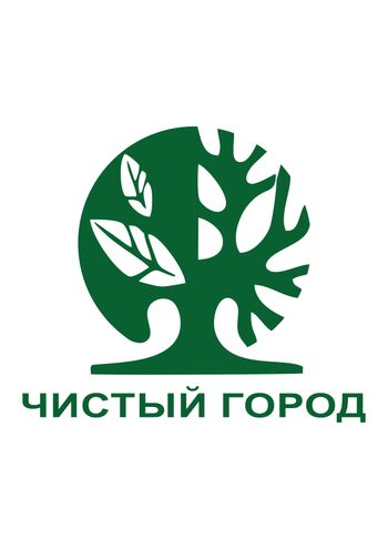 Чистый город