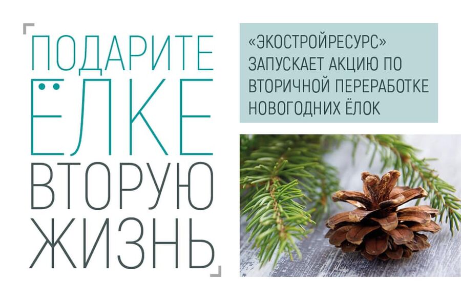 В Самарской области акция «Подарите ёлке вторую жизнь» расширяет географию