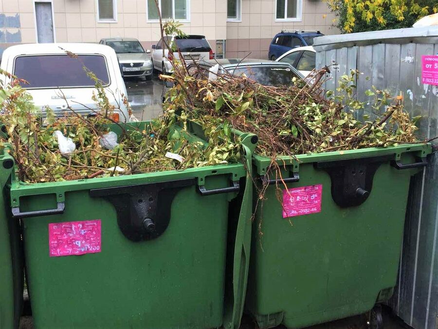 Регоператоры несут колоссальные убытки из-за вывоза растительных отходов