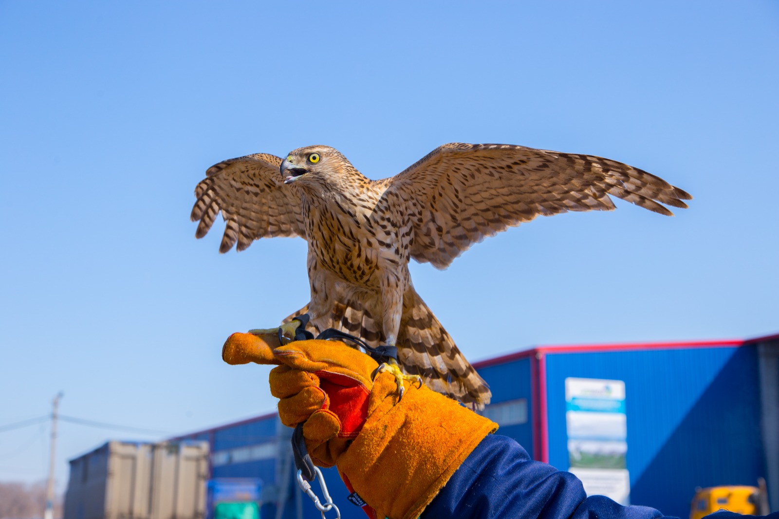 Руслан Губайдуллин: регоператоры несут ответственность из-за несовершенства законов