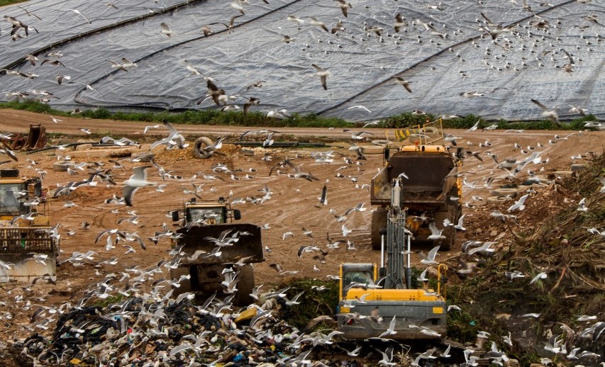 Ассоциация «Чистая страна» провела анализ ценообразования на ПЭТФ-бутылки